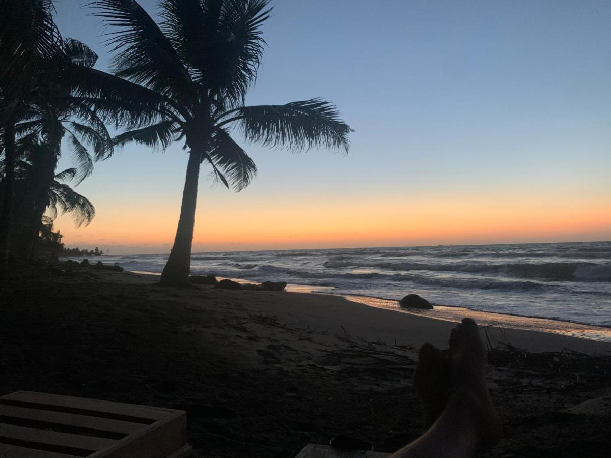 Playa Jaguar - Beach Club Monitos Екстер'єр фото